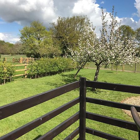 Maplehurst Barn Stables Staplehurst Екстериор снимка