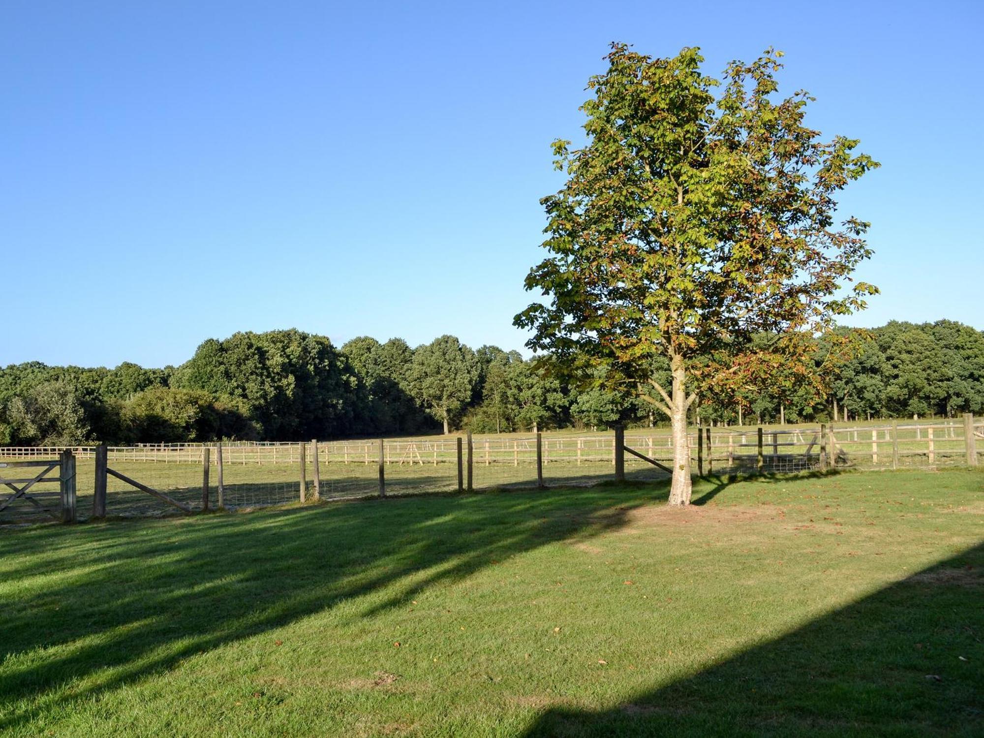 Maplehurst Barn Stables Staplehurst Екстериор снимка