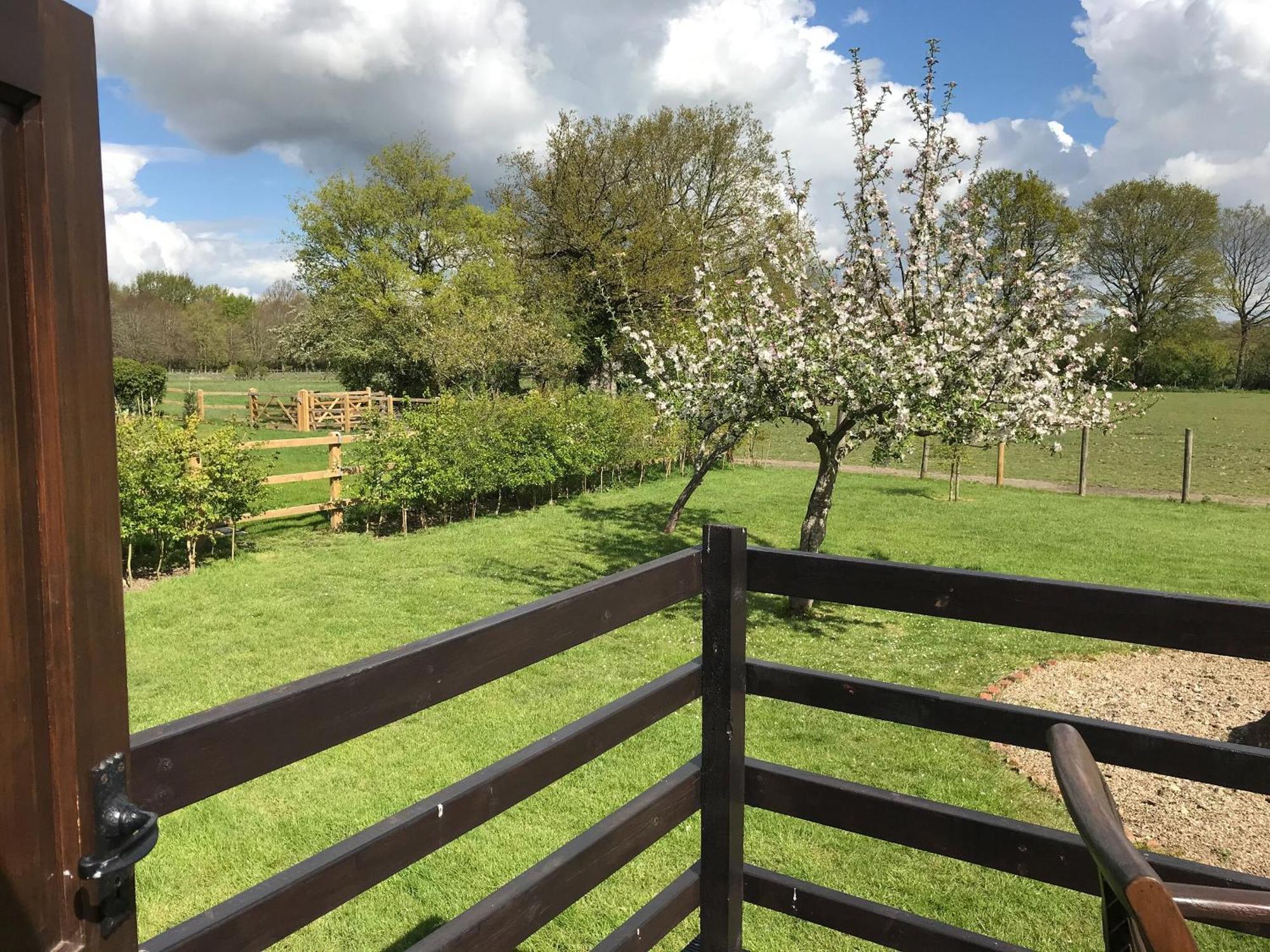 Maplehurst Barn Stables Staplehurst Екстериор снимка